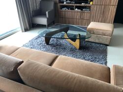 Scotts Square (D9), Apartment #453853401